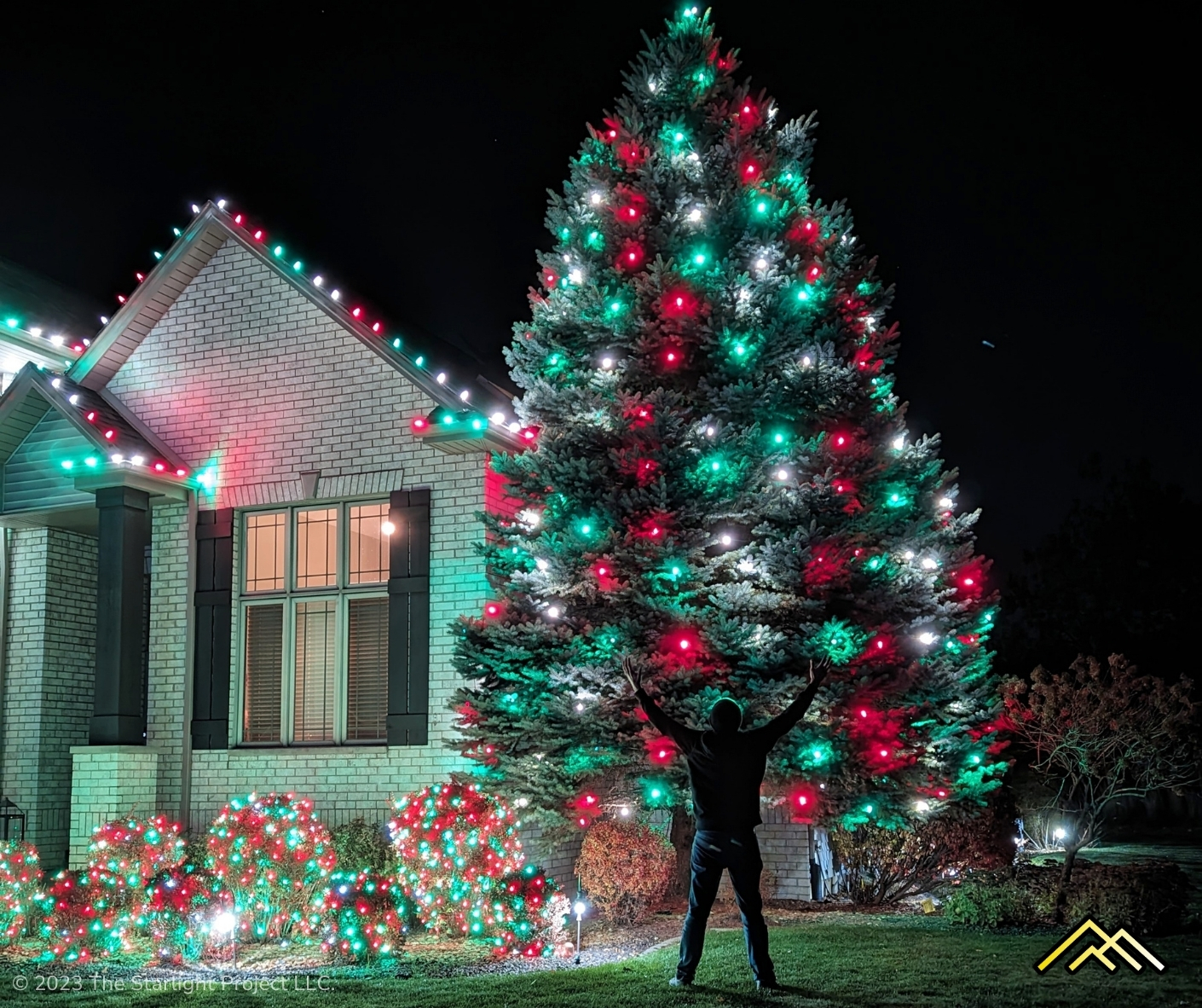 35' Evergreen Wrapped with C7 Bulbs